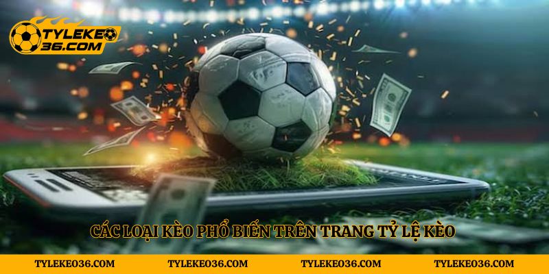 Các loại kèo phổ biến trên trang tỷ lệ kèo 