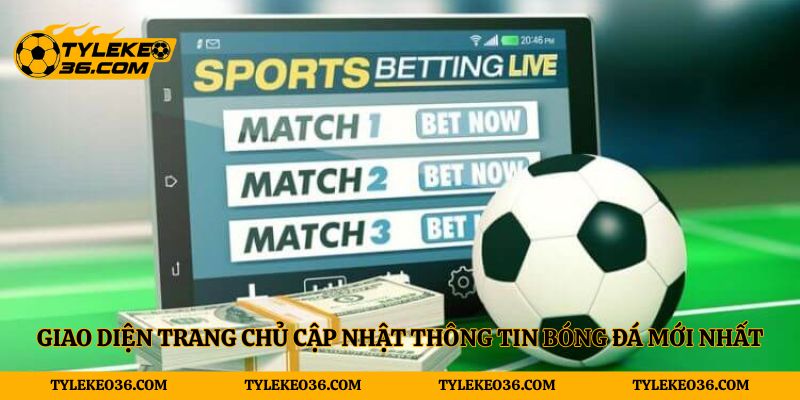 Giao diện trực quan, cập nhật tỷ lệ kèo theo thời gian thực